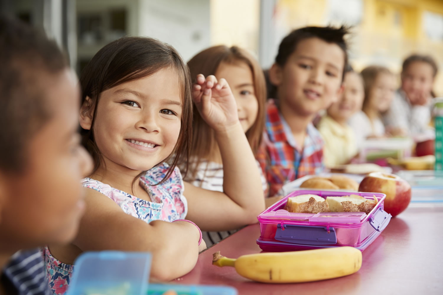 Progressive mealtimes – Are they right for your service? | CareforKids ...