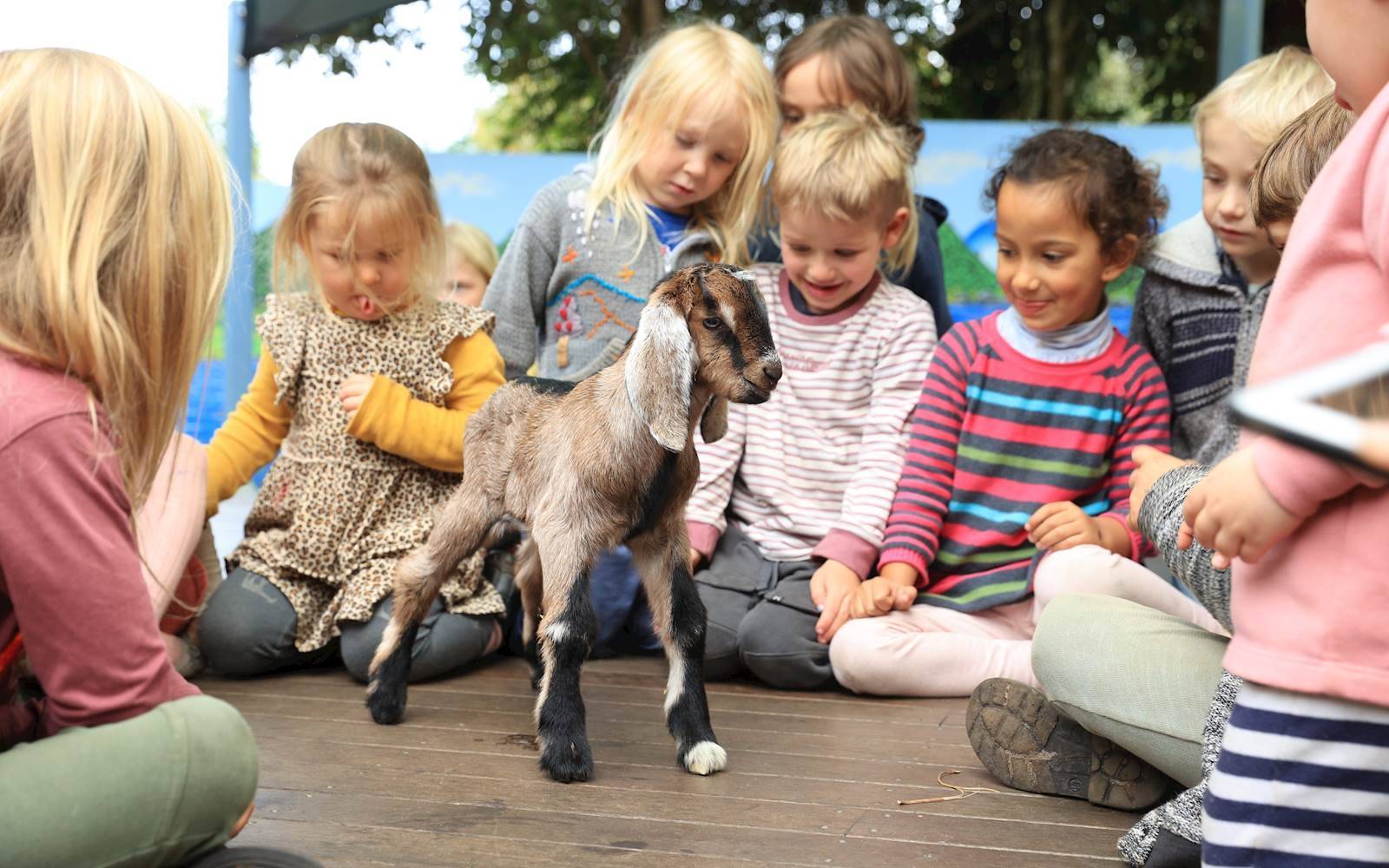 Federal Community Children's Centre